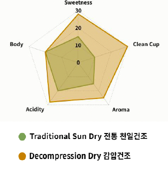 Radar Chart